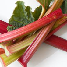 Tantalizing Treats: Creative Dishes to Make with Fresh Rhubarb