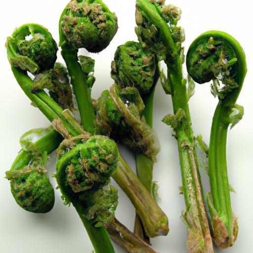 Frozen Fiddleheads: Your Guide to Blanching & Storing Fresh
