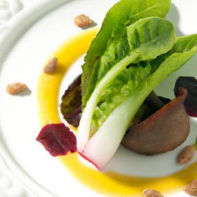 Herb Harmony: Top Picks to Elevate Your Spring Veggies